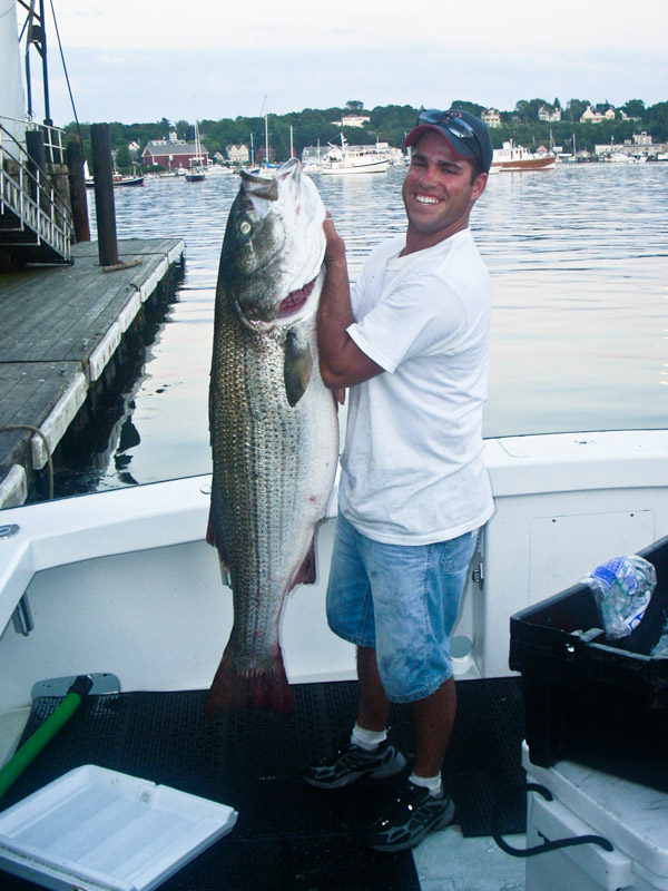 Essex Striper 116