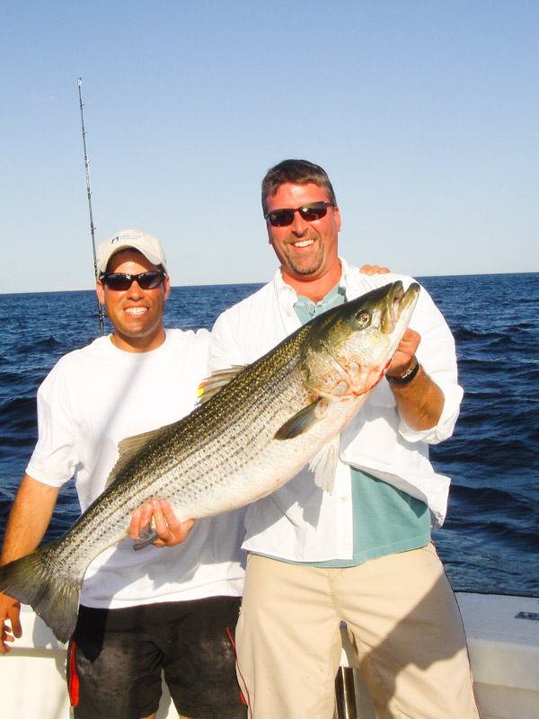 Essex Striper 20