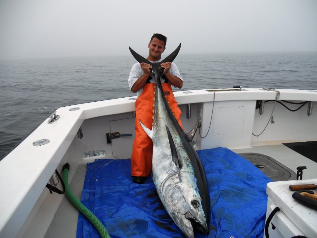 bluefin tuna fishing Archives - Fishing Charters Gloucester MA - Tuna, Cod,  Striped Bass - Karen Lynn Charters