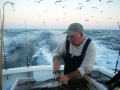 Cod Haddock charters Gloucester, MA