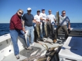 Cod Haddock charters Gloucester, MA