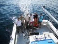 Cod Haddock charters Gloucester, MA