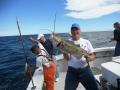 Cod Haddock charters Gloucester, MA