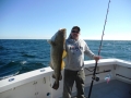 Cod Haddock charters Gloucester, MA