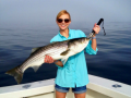 fishing-charters-Gloucester-MA