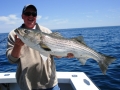 Striped Bass Charters Gloucester, MA