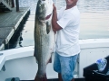 Striped Bass Charters Gloucester, MA