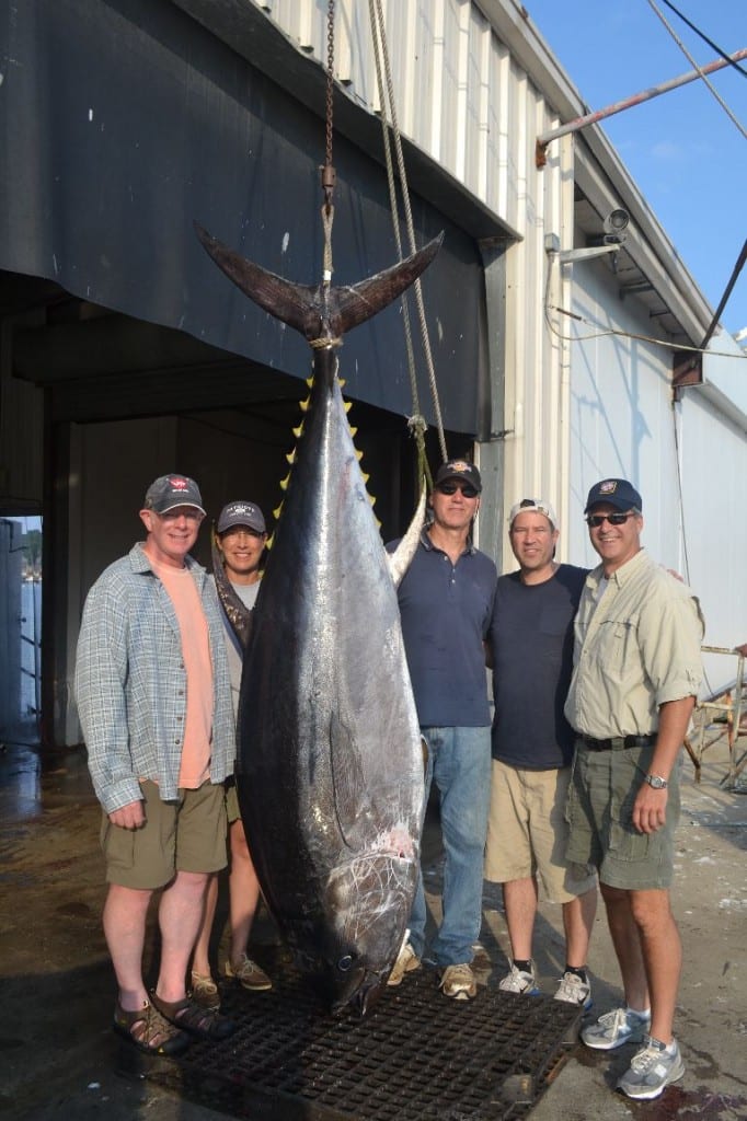 Giant Tuna Fishing Gloucester, MA Karen Lynn Charters