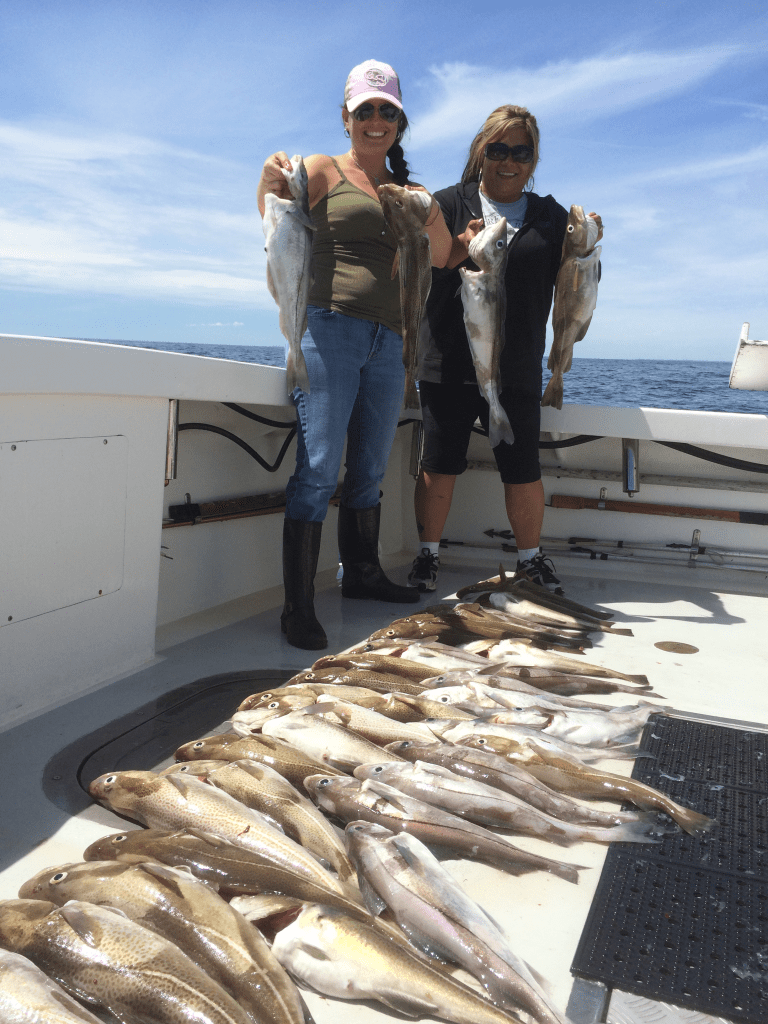 cod, haddock, fishing , karen lynn charters, Gloucester, MA