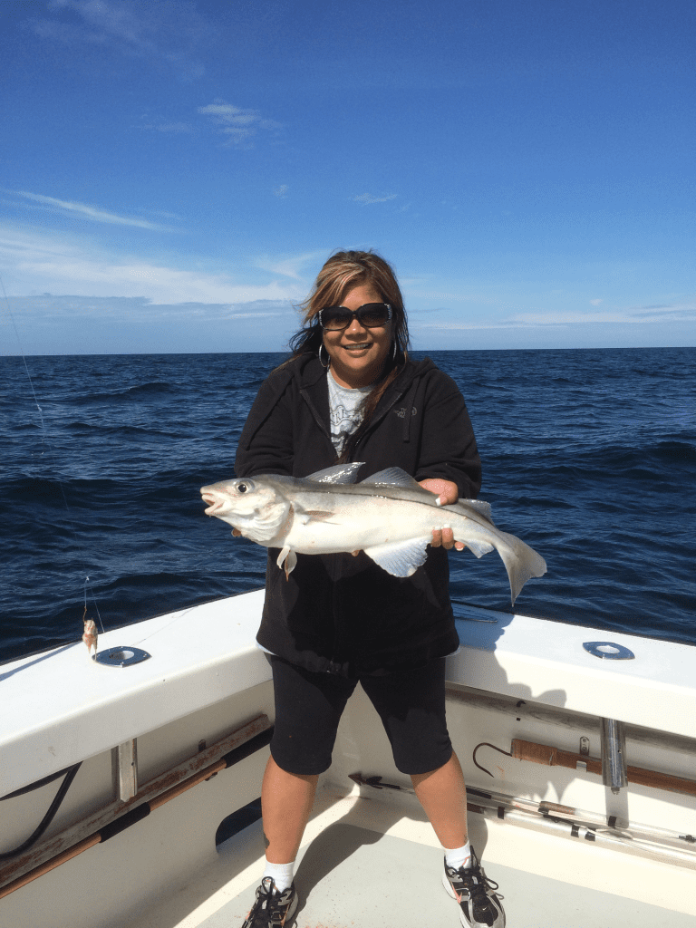 cod and haddock, fishing, gloucester, karen lynn charters