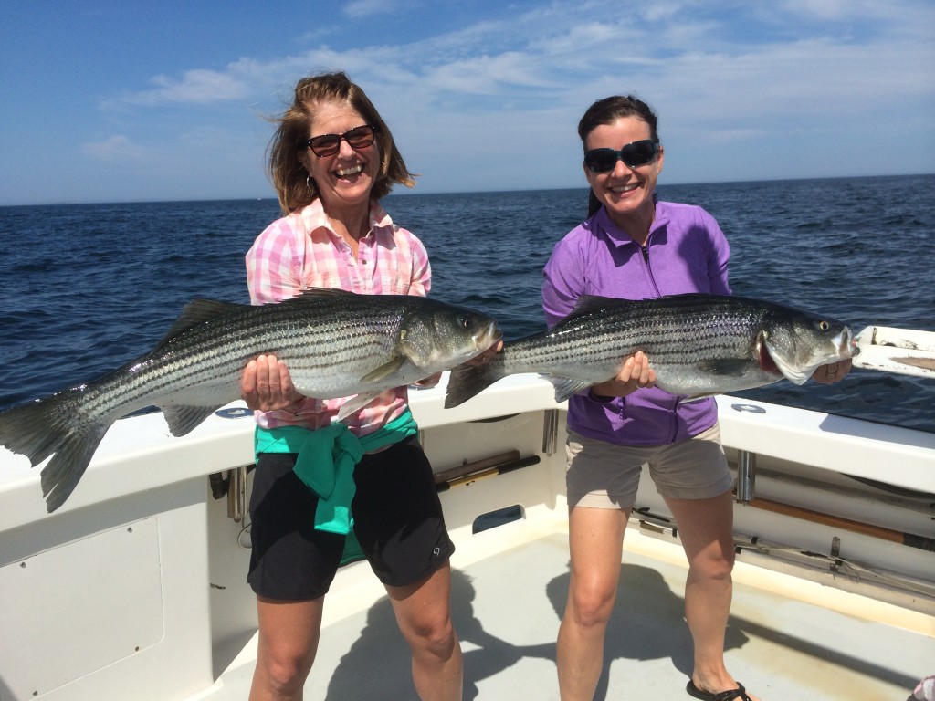 Karen Lynn Charters, Gloucester, MA, Striped Bass, Fishing