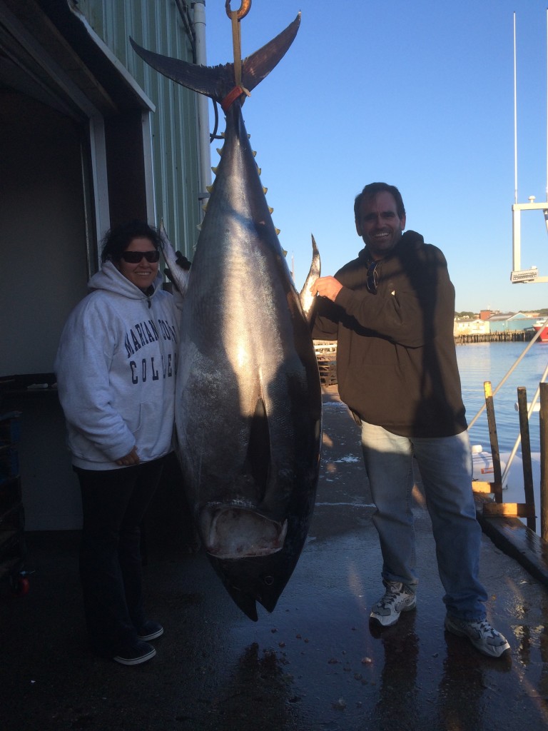 bluefin tuna fishing karen lynn charters, gloucester,ma