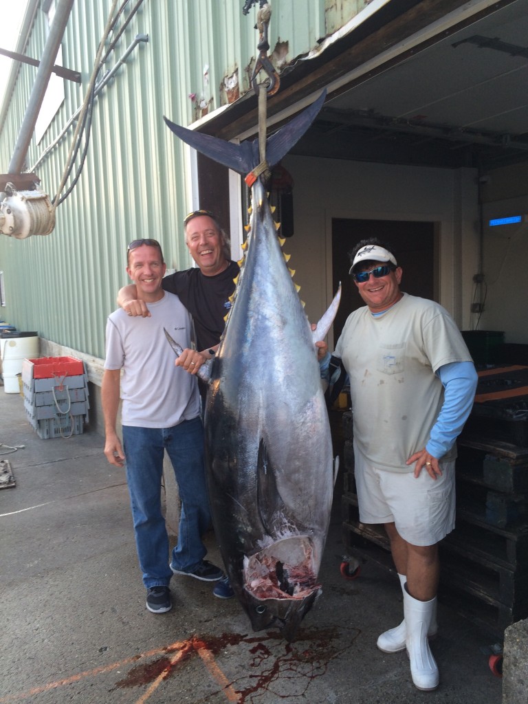 Karen Lynn Charters bluefin tuna fishing Gloucester, MA 