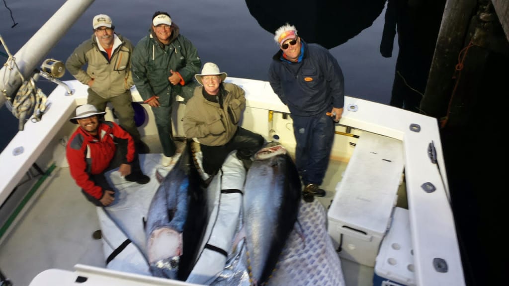giant bluefin tuna karen lynn charters gloucester,ma