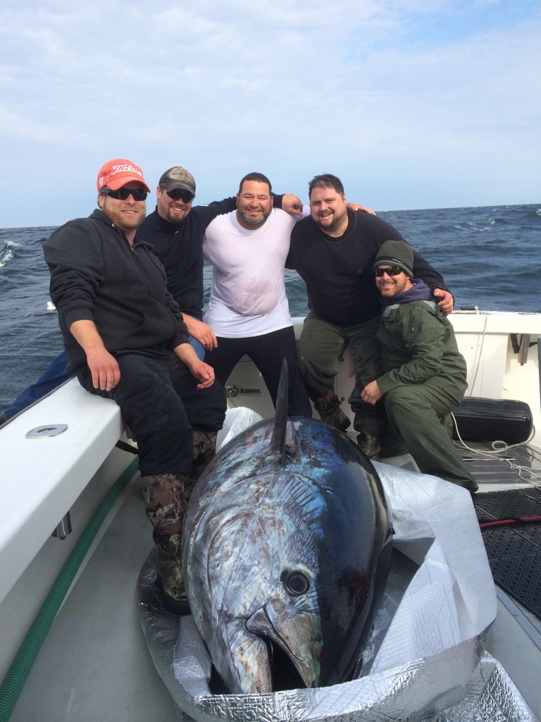 giant bluefin tuna fishing Karen Lynn Charters Gloucester, MA