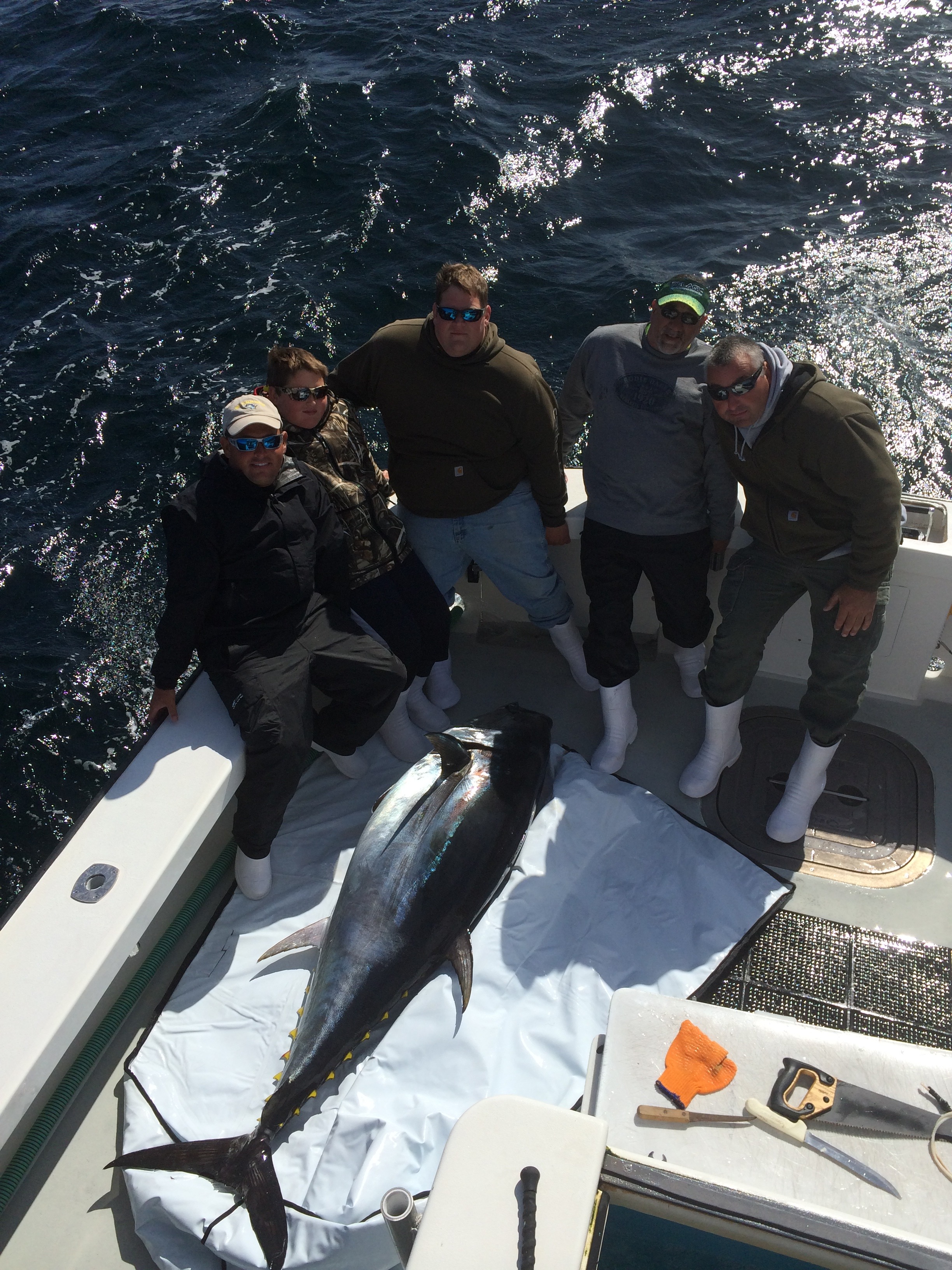 bluefin charter fishing trips now operating february to december