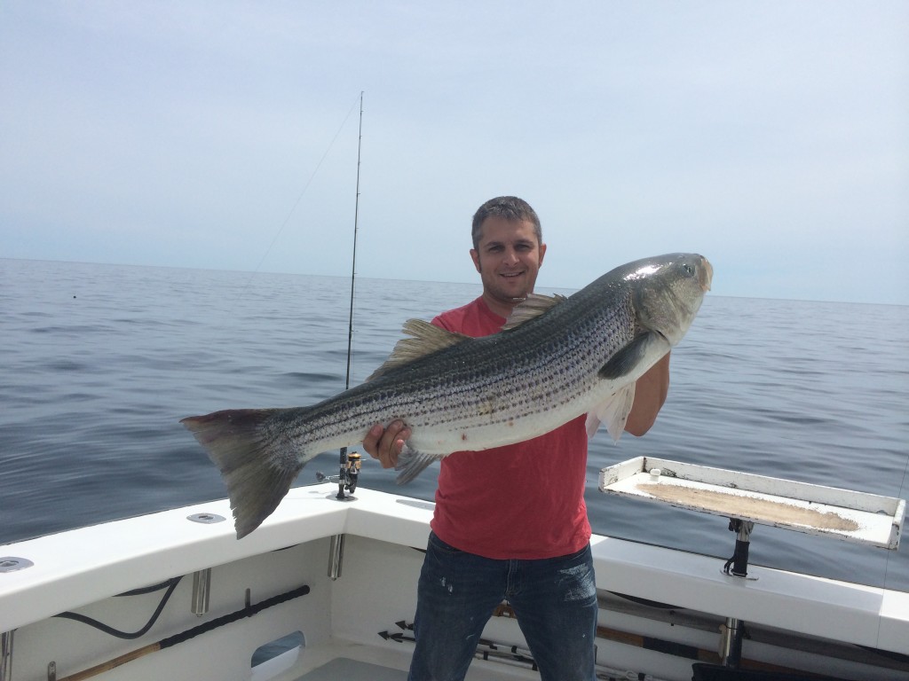 striped bass fishing charters