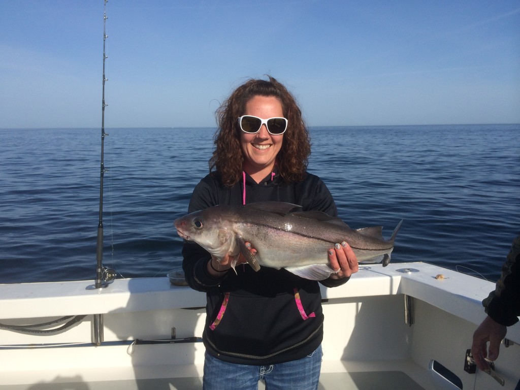 Bluefin Tuna, Striped Bass, Haddock and Shark Fishing Gloucester, MA