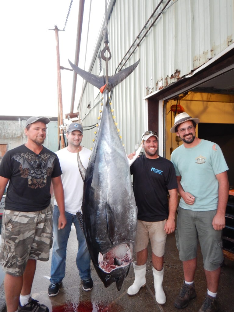 gloucester, massachusetts, offshore fishing, tuna charters
