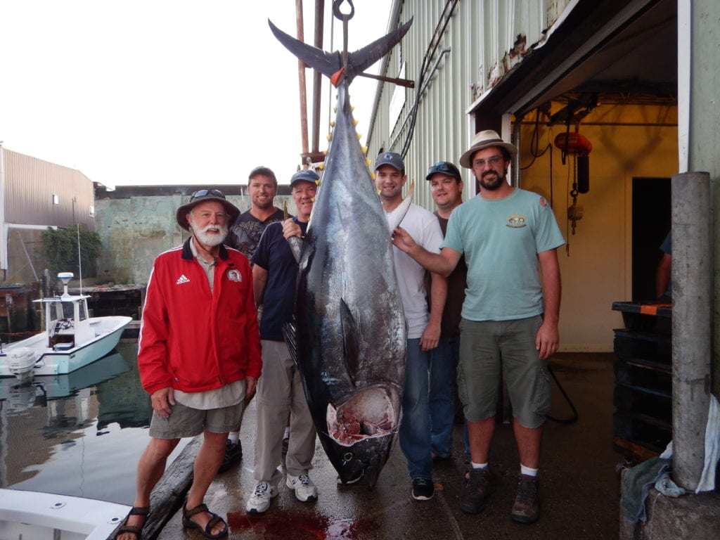 Gloucester, MA giant bluefin tuna fishing Karen Lynn Charters