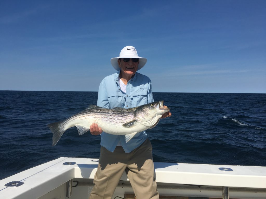 Gloucester, MA striped bass fishing Karen Lynn Charters