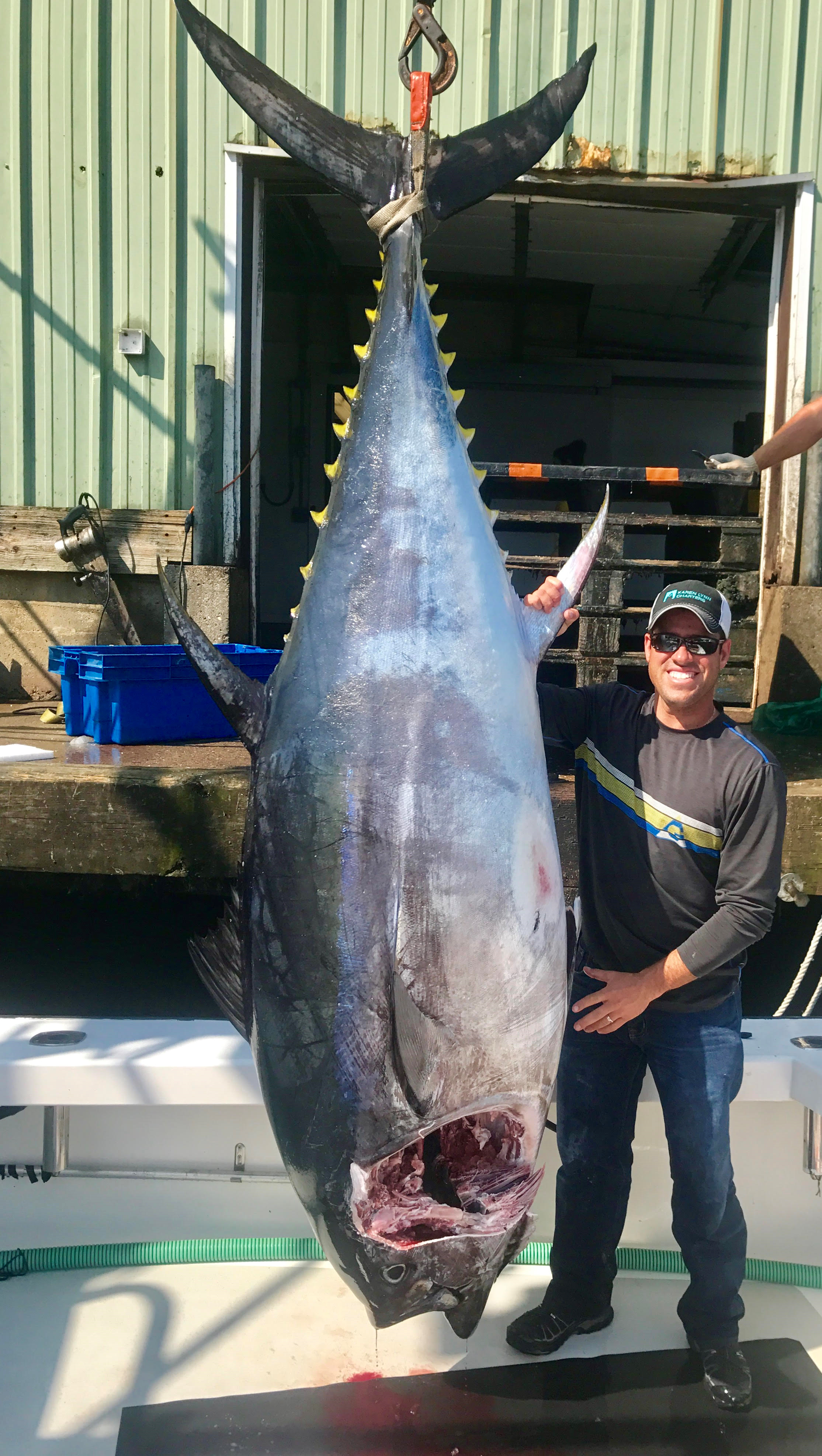 How To Cut Bluefin Tuna Karen Lynn Charters Gloucester Ma