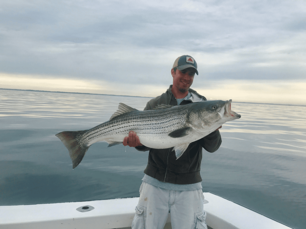 striped bass fishing charters, Gloucester, Massachusetts