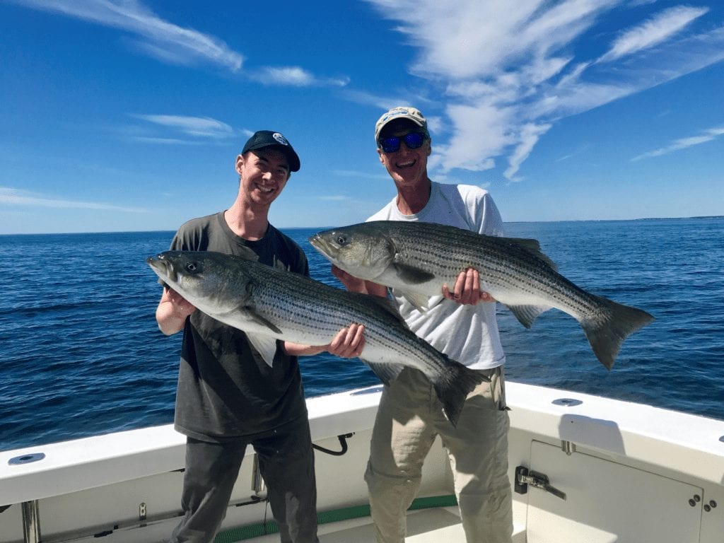 fishing charters Gloucester, MA striped bass