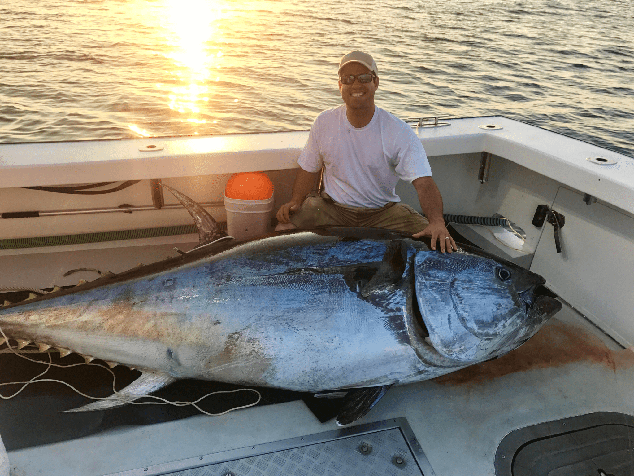 A Way For Fishermen Net Fishing Tuna Giant Bluefin Tuna Catch Hundred Tons  Tuna Fish On the sea #3 