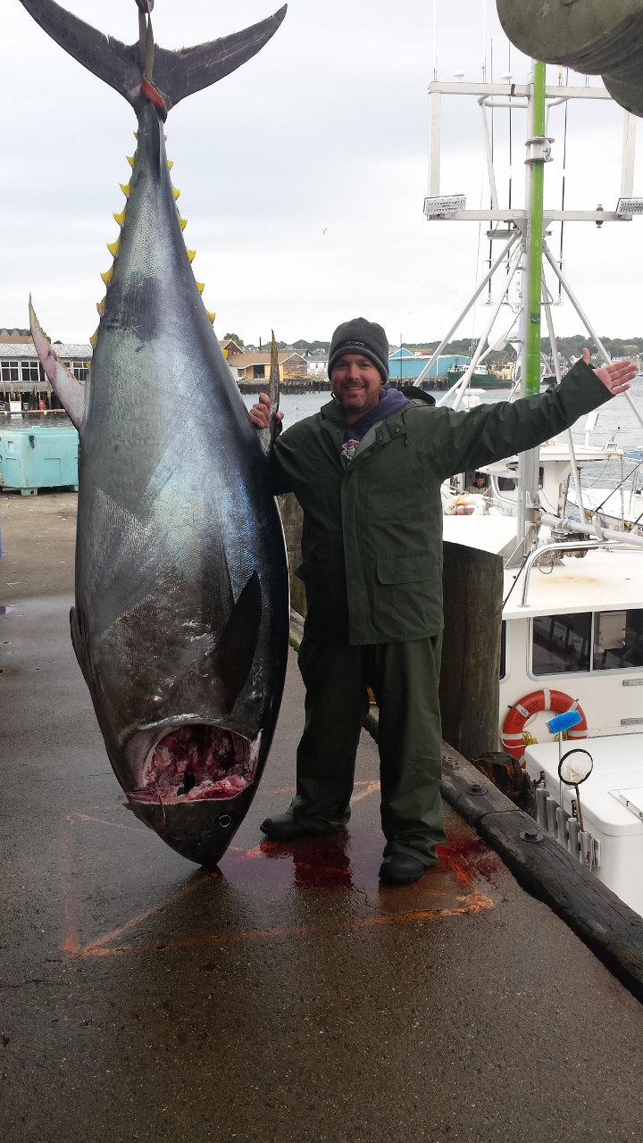 bluefin-tuna-starting-to-heat-up-fishing-charters-gloucester-ma